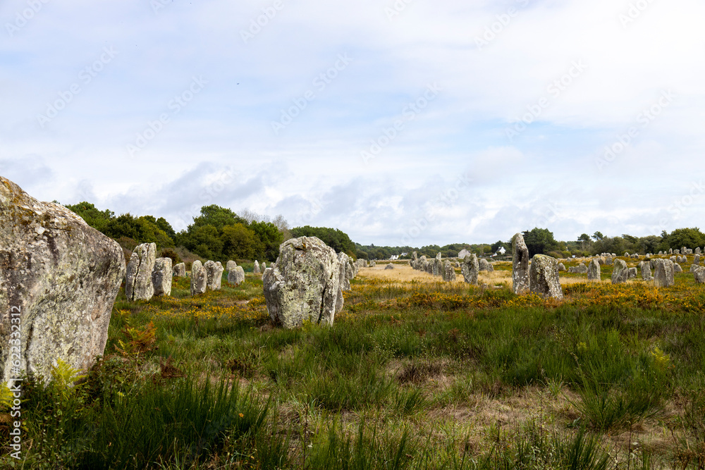 Naklejka premium Steinreihen von Carnac, Frankreich - 5