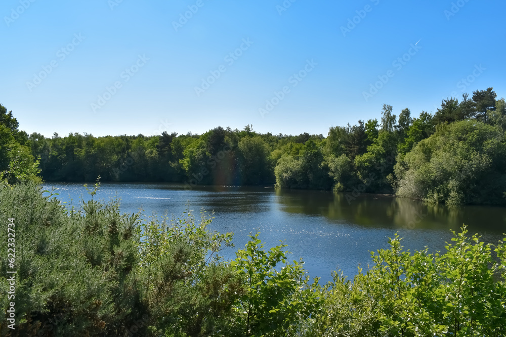 Obraz premium ducks on lake with blue skies and green trees