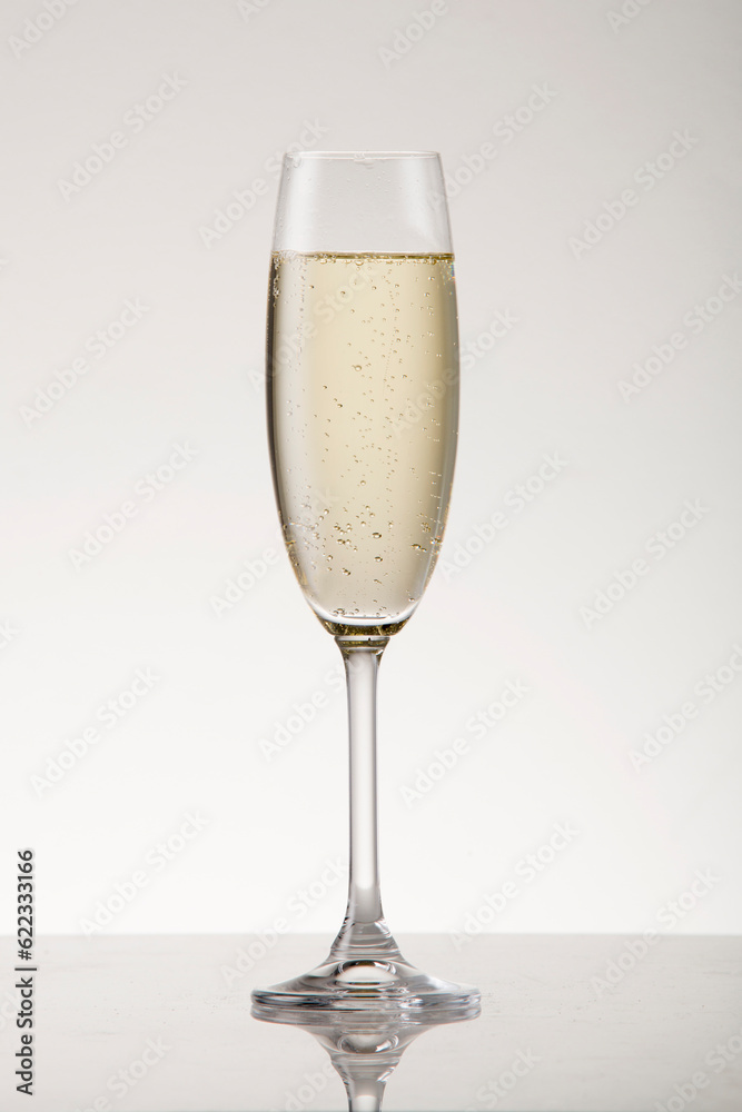 White sparkling wine in a champagne flute. White sparkling wine in a champagne flute.