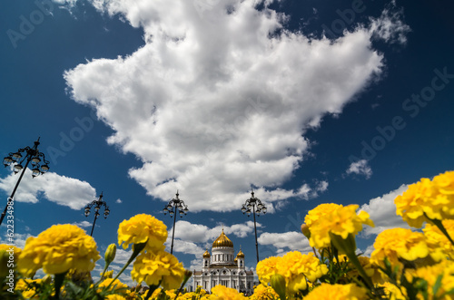 The Cathedral of Christ the Saviour or Khram Khrista Spasitelya is a cathedral in Moscow, Russia. Beautiful yellow flowers in the foreground.