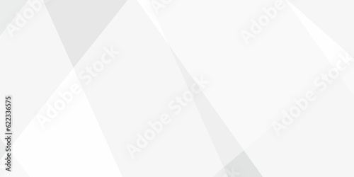 Abstract background with white and gray and geometric style with simple lines and corners, polygons as background geometric style with simple lines and corners, polygons as background paper texture