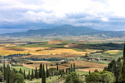 Pictureesque landscape of Tuscany countryside with golden and green rolling hills and with isolated cypress trees against blue sky