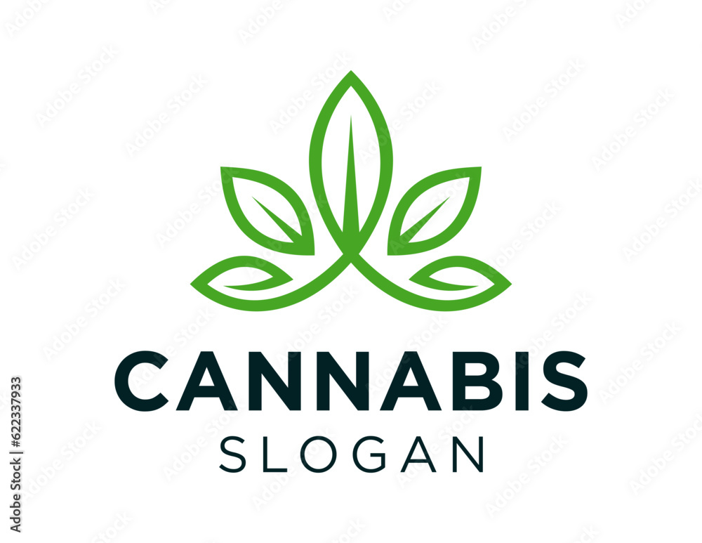 Logo about Cannabis on a white background. created using the CorelDraw application. Logo about Cannabis on a white background. created using the CorelDraw application.