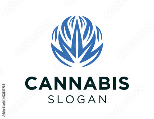 Logo about Cannabis on a white background. created using the CorelDraw application.
