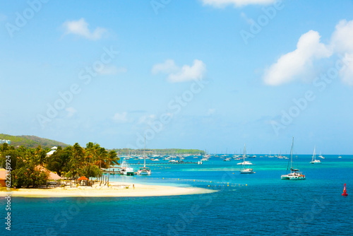 The coast of the island of Martinique in the Caribbean. Yachts  palm trees  beach and turquoise water.