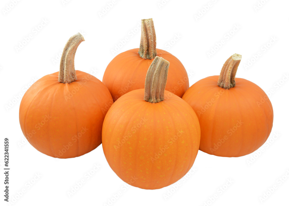 Four ripe orange pumpkins, isolated on a white background Four ripe orange pumpkins, isolated on a white background