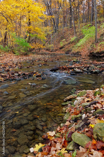 a tranquil stream meanders through the woodland. a forest preserve near chicago, cook county illinois awakens in autumn colors carrying fallen leaves downstream. photo