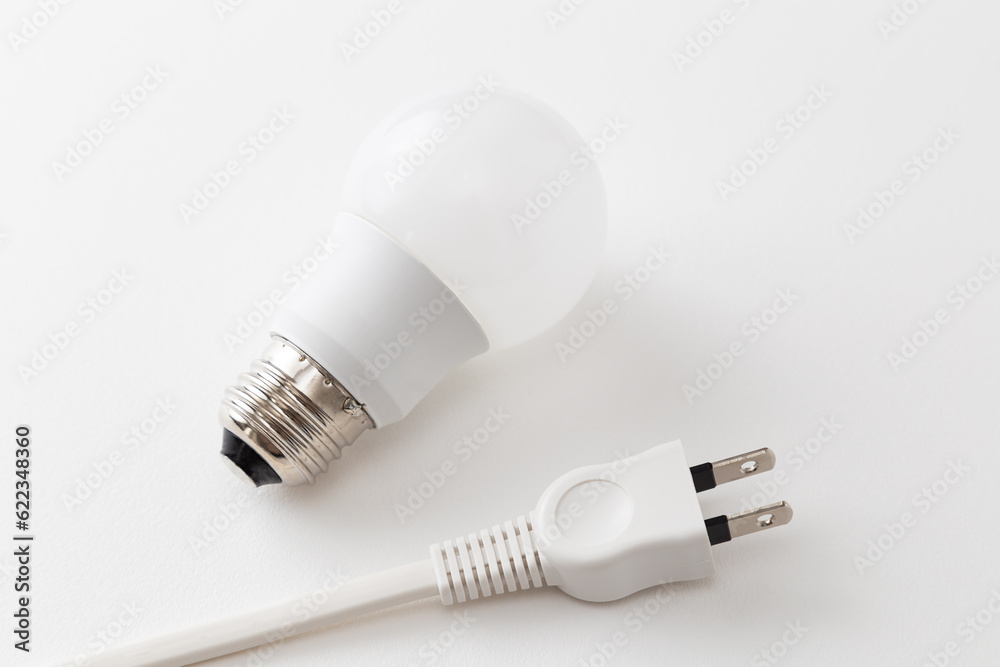 LED電球と電源プラグ LED電球と電源プラグ