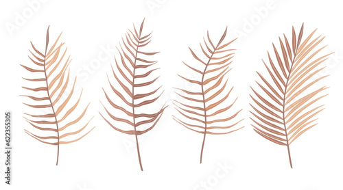 Set of tropical leaves of palm tree. Exotic boho collection of earth tone colors plants. Hand drawn botanical vector illustration elements isolated on white background