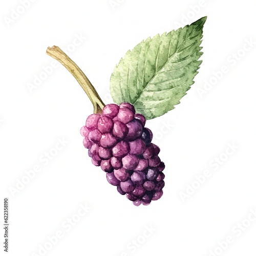 Fresh Organic Mulberry Berry Background, Square Watercolor Illustration. Healthy Vegetarian Diet. Ai Generated Soft Colored Watercolor Illustration with Delicious Juicy Mulberry Berry.