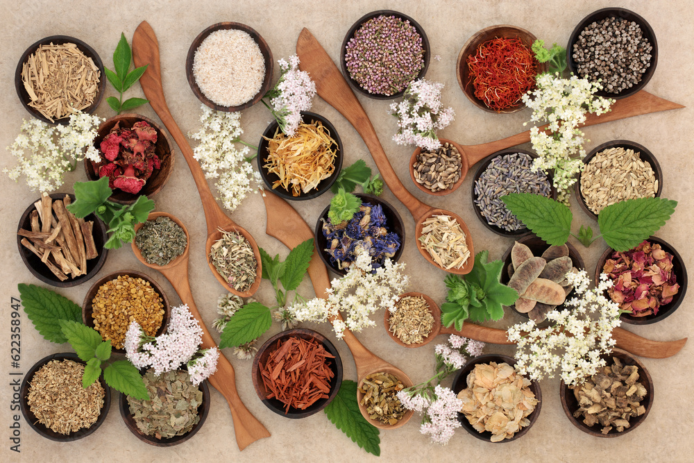Herbal medicine selection of fresh and dried herbs and flowers used in natural alternative remedies. Herbal medicine selection of fresh and dried herbs and flowers used in natural alternative remedies.