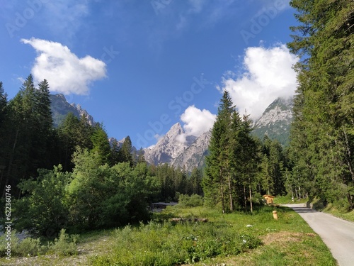 Climb to new bivouac Fanton, Belluno city in Italy photo