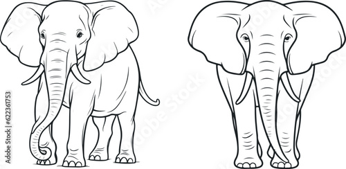 Elephant front and side views vector illustration on white background. Big black and white elephants biggest earth mammal cartoon animal design