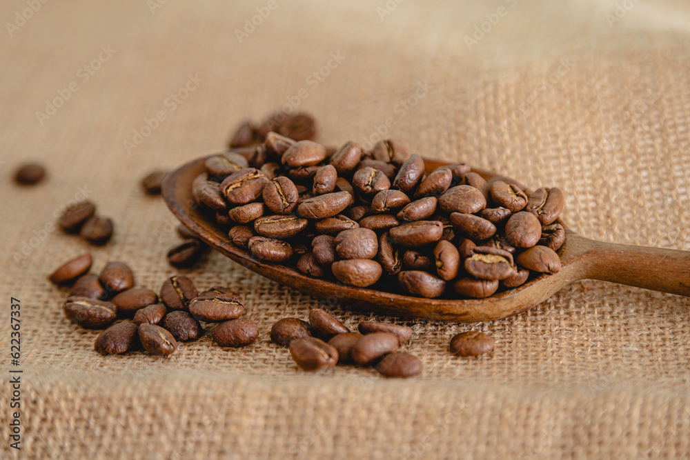 close up of Coffee beans on a wooden spoon close up of Coffee beans on a wooden spoon