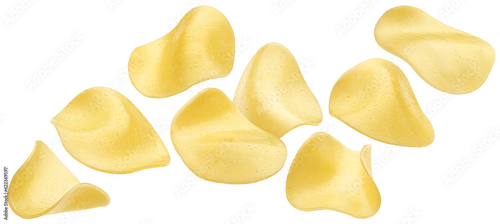 Salami cheese, round gouda slices isolated on white background Salami cheese, round gouda slices isolated on white background
