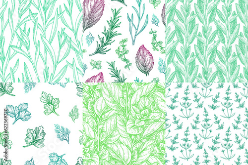 Collection of seamless patterns with herbs.