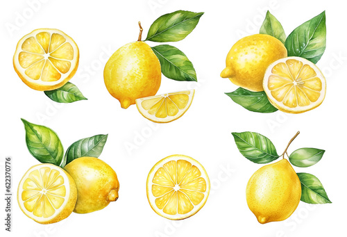 Set of watercolor lemons isolated on white.  © Nataliia Pyzhova