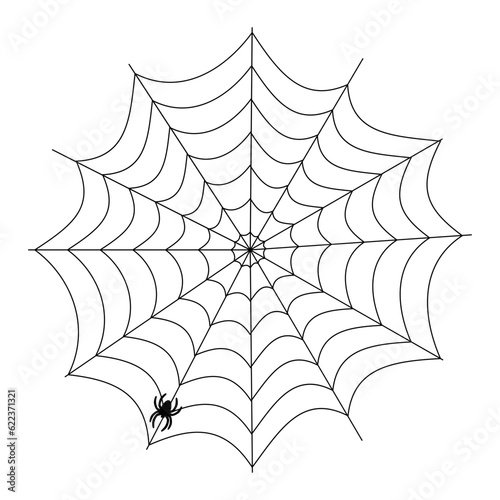 Spider web silhouette