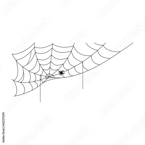 Spider web silhouette