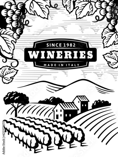 Rural landscape with vineyard. Vine plantation hills