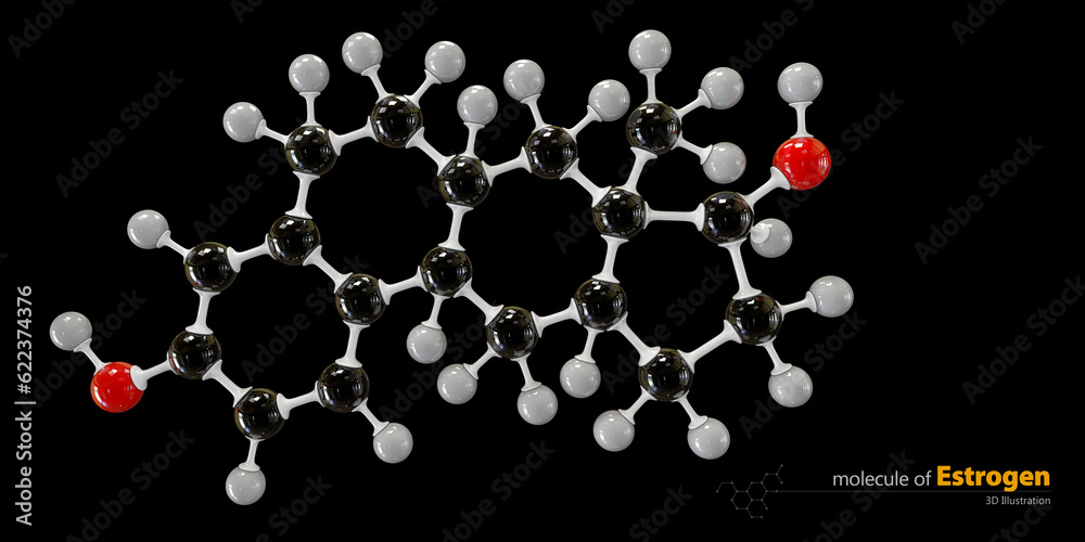 3d Illustration of Estrogen Molecule isolated black background