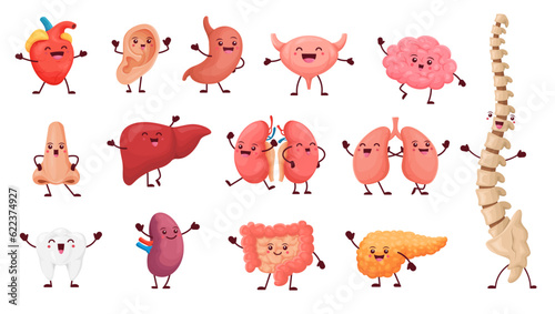 Cartoon organ characters with happy faces, cute anatomy. Internal body part vector personages, funny heart, liver, brain, lungs and tooth, kidney, stomach and spleen, intestine, bladder, ear and nose photo
