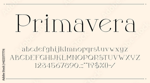 Elegant font or glamour type, luxury typeface and royal alphabet, vector typeset letters and numbers. Modern elegant typography font for wedding or fashion glamour text, minimal vintage line typeface