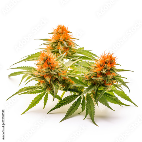 Cannabis Buds and Leafs with orange Buds  ai generated