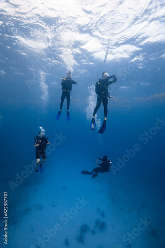 Group of scuba divers swimming underwater photo