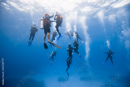 Group of scuba divers swimming underwater photo