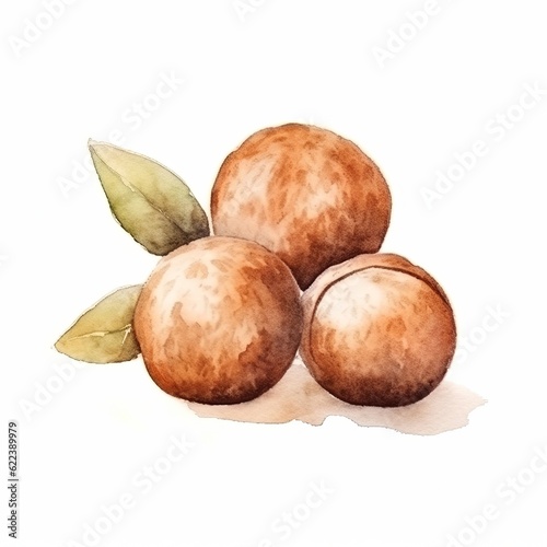 Organic Macadamia Nuts Background, Square Watercolor Illustration. Nutritious Vegetarian Protein Snack. Ai Generated Soft Colored Watercolor Illustration with Delicious Tasty Macadamia Nuts.