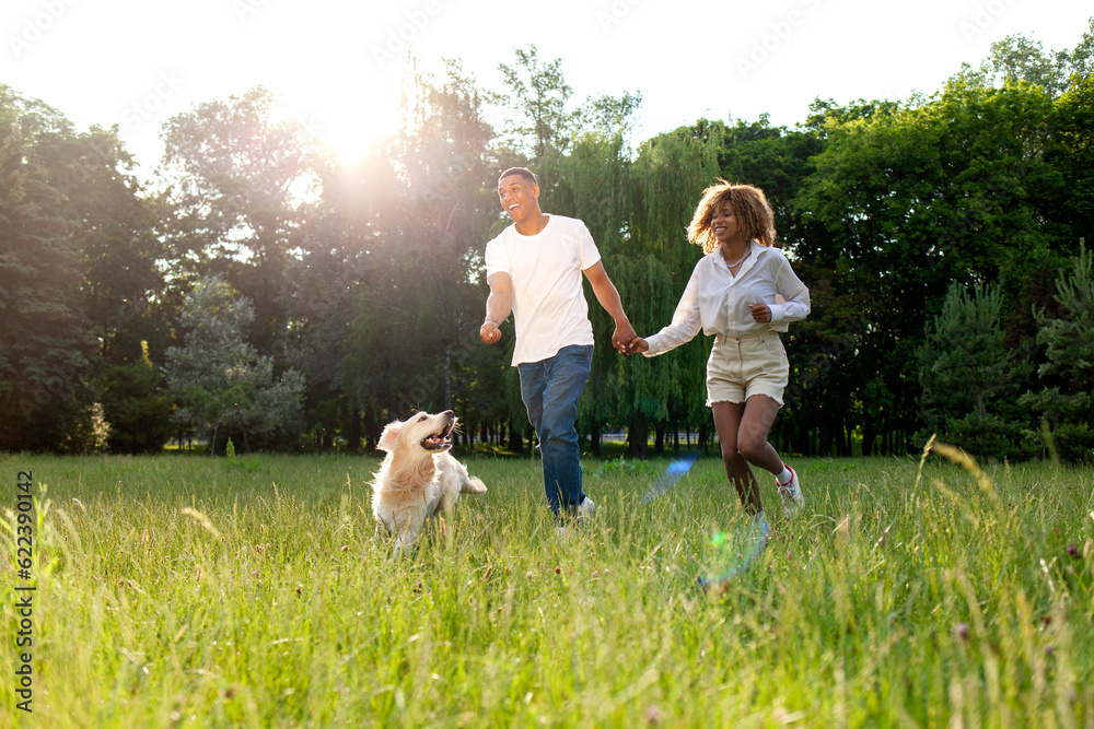Fototapeta premium african american happy couple walk and run together with dog in park in summer