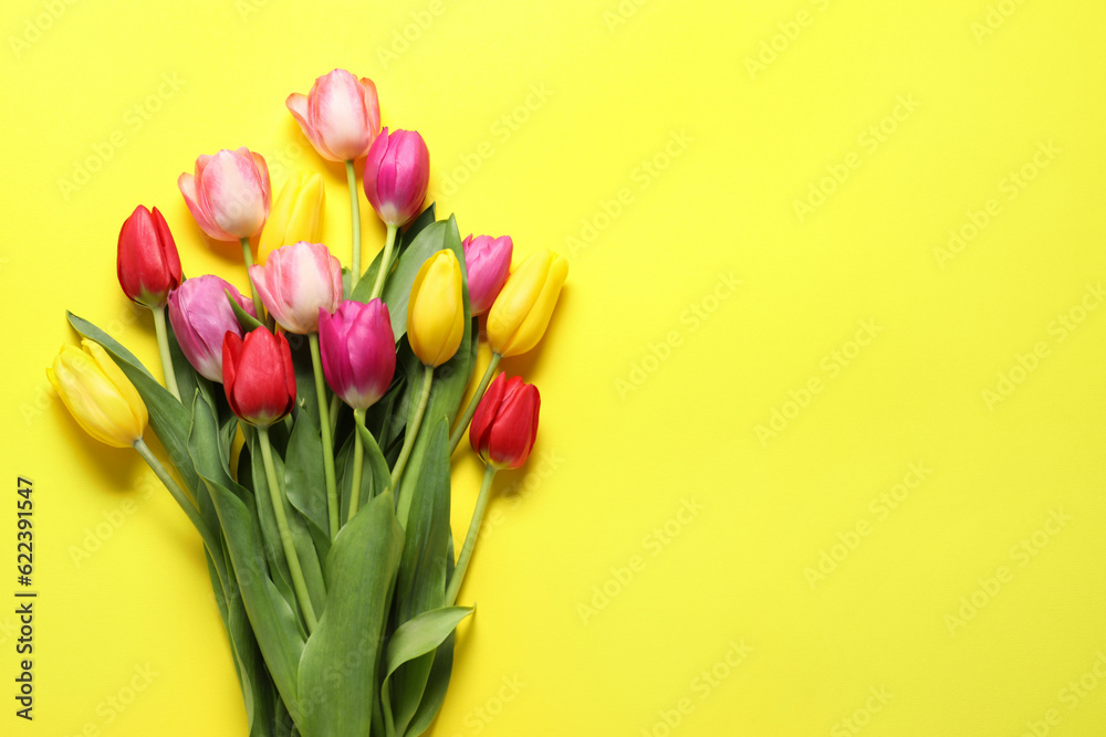Beautiful colorful tulip flowers on yellow background, flat lay. Space for text Beautiful colorful tulip flowers on yellow background, flat lay. Space for text
