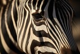 AI generated illustration of a zebra in a field under the sunlight with a blurry background