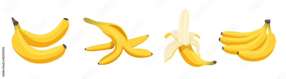 Set of peeled banana, whole banana and bunch of bananas. Tropical fruits, vegetarian nutrition menu. Vector flat cartoon illustration icons collection isolated on white background 