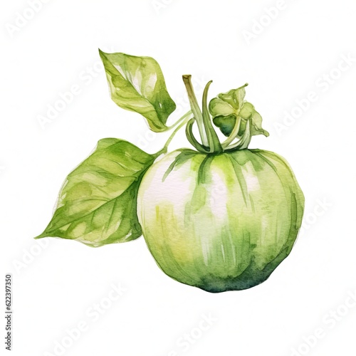 Fresh Organic Tomatillo Vegetable Background, Square Watercolor Illustration. Healthy Vegetarian Diet. Ai Generated Soft Colored Watercolor Illustration with Delicious Juicy Tomatillo Vegetable.
