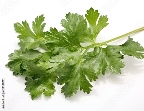 Parsley bunch tied with ribbon isolated on white background. Created with Generative AI technology.