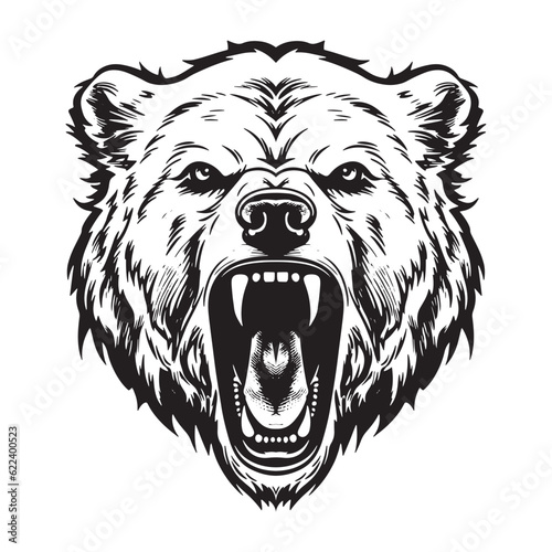 Growling bear head isolated on white background. Vector illustration