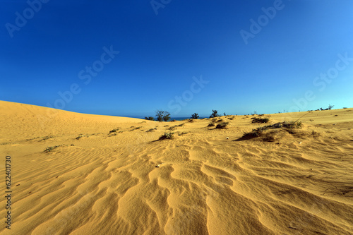 Beautiful Landscape Desert, Red Sand Dunes of Mui Ne, Vietnam