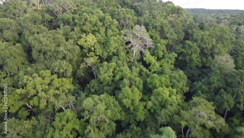 This footage was taken during a 5 Day hike in the ancient mayan jungle on the border between Mexico and Guatemala. A lot of biodiversity can be seen such as Howler- and Spidermonkeys. photo