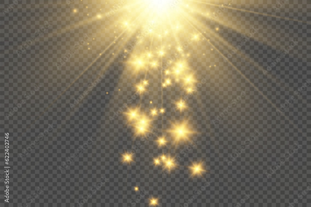 Brilliant dust vector shine. Glittering shiny ornaments for background. Vector illustration.
Brilliant dust vector shine. Glittering shiny ornaments for background. Vector illustration.