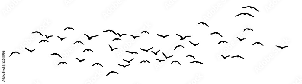 png flock of birds silhouette isolated on clear background png flock of birds silhouette isolated on clear background