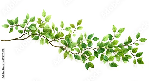 Fresh green leaves branch isolated on white background. Created with Generative AI technology.