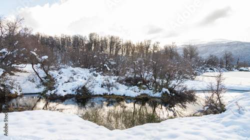 Lago en invierno nevado