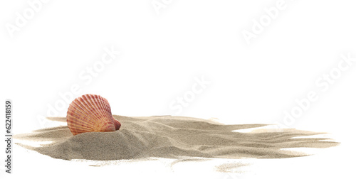 Fotografiet Sea shell in sand pile isolated on white, side view