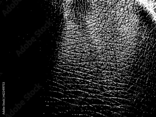 Black and white Skin texture. Cool shiny human skin texture background. 