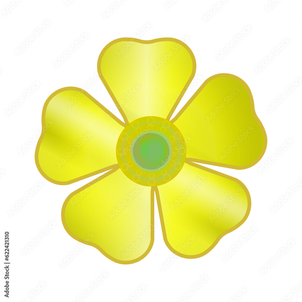 yellow flower isolated on white background yellow flower isolated on white background