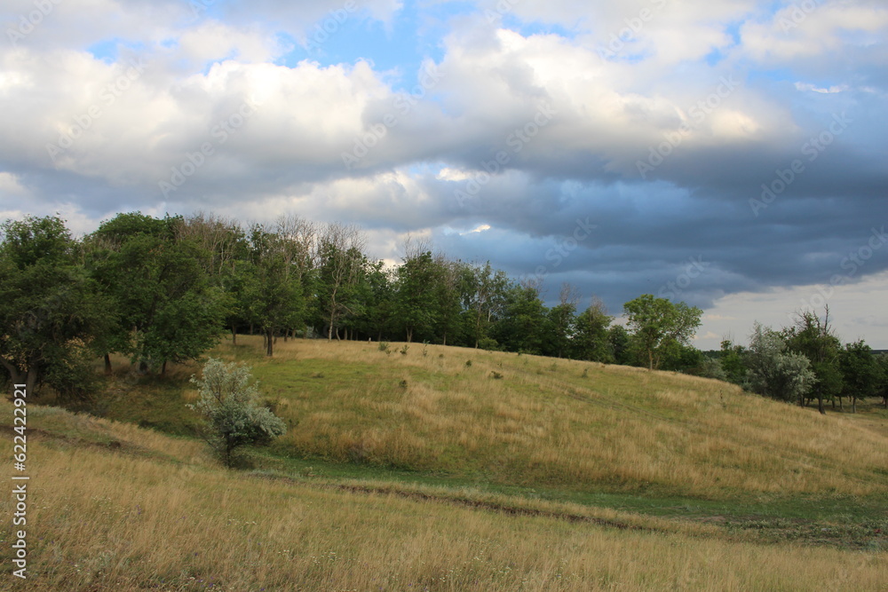 A grassy hill with trees and clouds in the sky