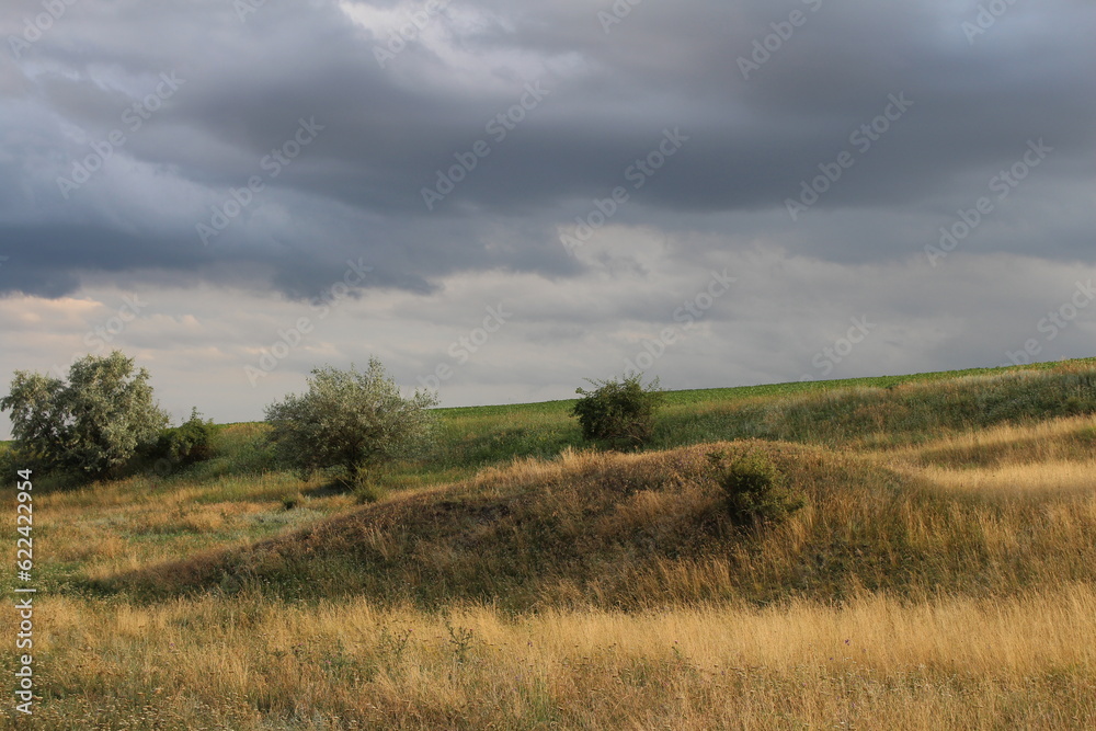 A grassy hill with trees and a cloudy sky