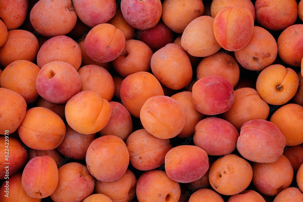 Background apricot close-up.Many summer fruits. Background apricot close-up.Many summer fruits.